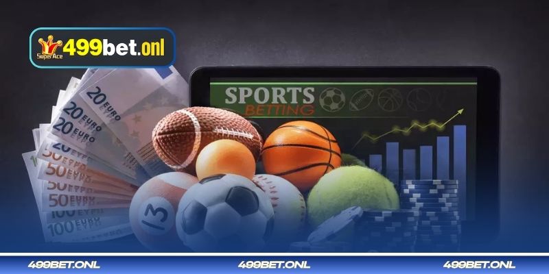 499bet ভলিবল বাজির নির্দেশিকা A-Z - সংক্ষেপে জানা যাক