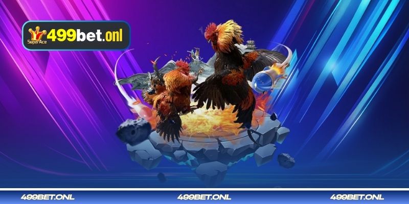 WS168 অনলাইন ককের লড়াই লবি 