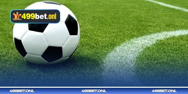 অস্বাভাবিক প্রবণতাযুক্ত বেটিং অপশন পর্যবেক্ষণ 