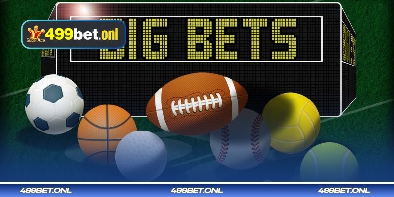 কার্যকর কৌশল ব্যবহার করে ভলিবল বেটিং গাইড