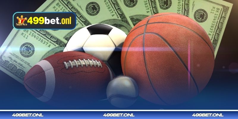 জনপ্রিয় বাজির ধরন অনুযায়ী ভলিবল বেটিং গাইড