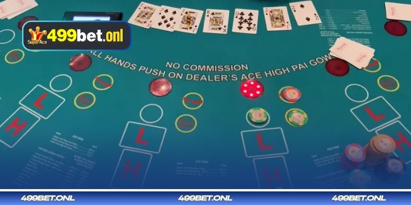 পাই গাও পোকার নির্দেশিকা নিয়ে সাধারণ কিছু প্রশ্নের উত্তর