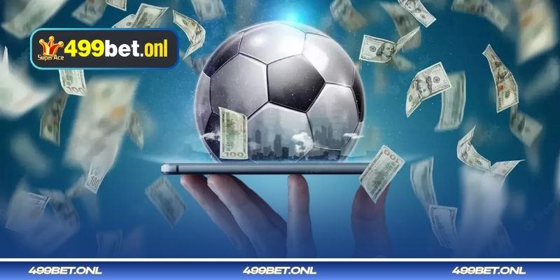 বাজি ধরার সঠিক সময় এবং নির্বাচনের নীতি