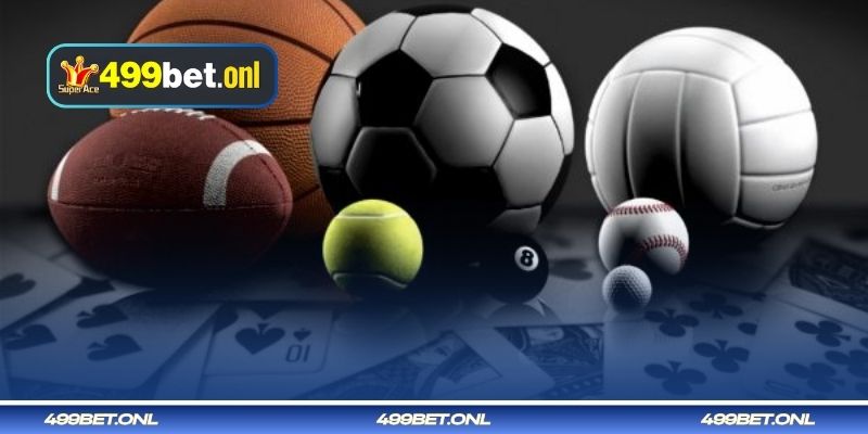 মৌলিক খেলার নিয়মের মাধ্যমে ভলিবল বাজির নির্দেশিকা