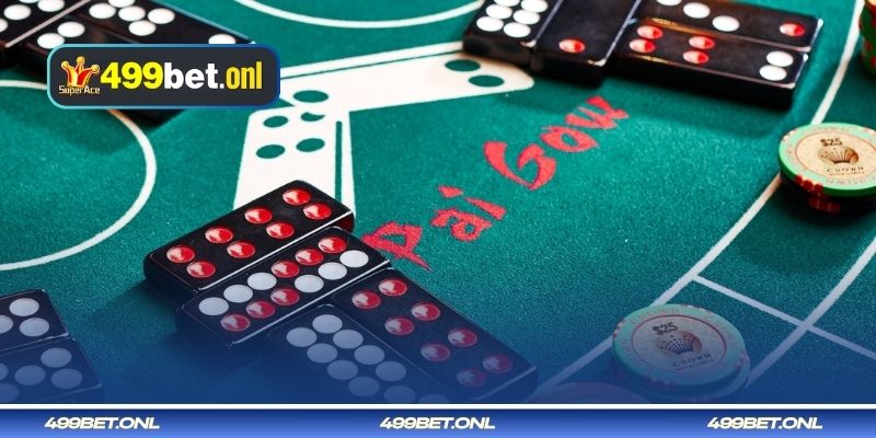 মৌলিক থেকে উন্নত স্তরের পাই গাও পোকার খেলার নির্দেশিকা