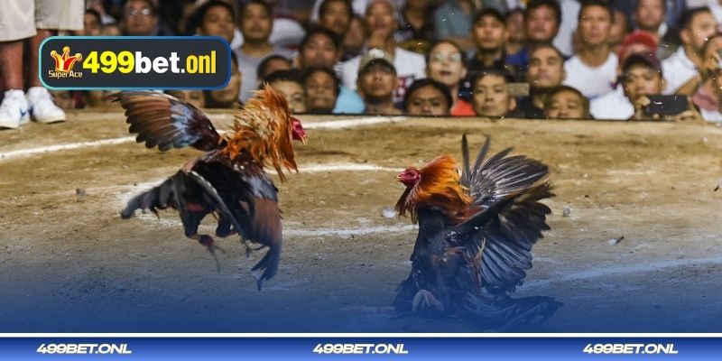 লড়াইয়ের কৌশলে আঘাতের কৌশল